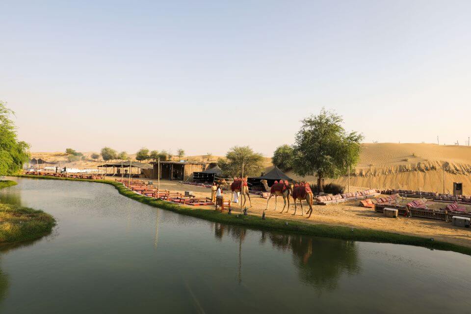 Dubai Al Marmoom and Al Qudra Lakes