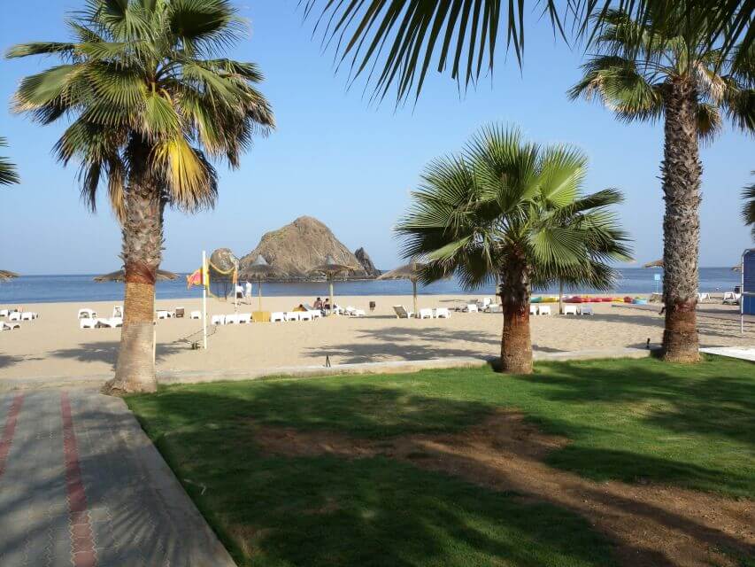  Fujairah East Coast with its sandy beach surrounded by palm trees with rock formations in the background in Dubai