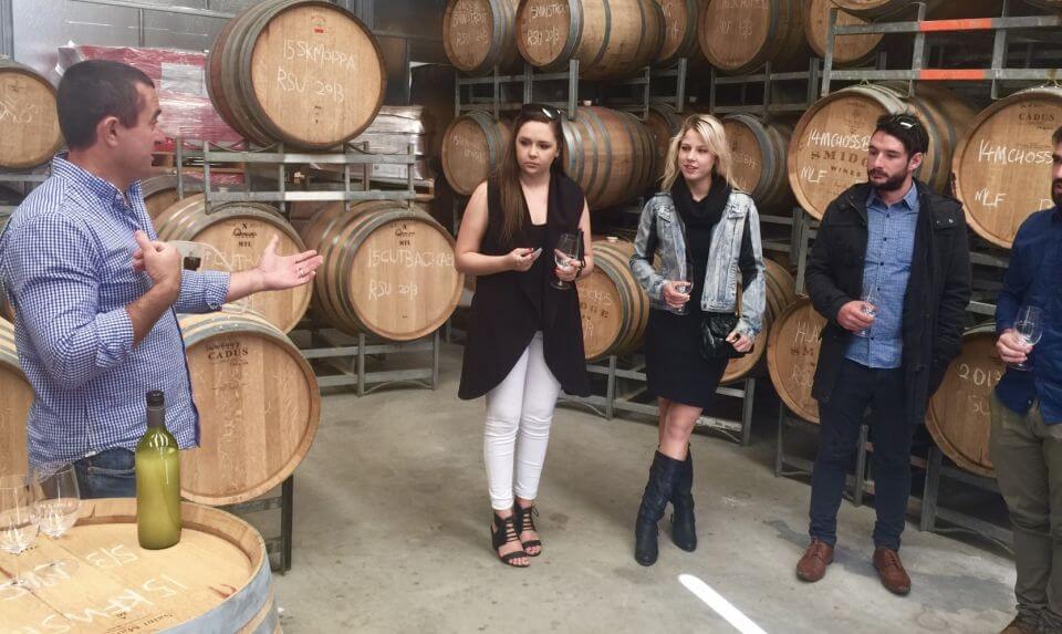 McLaren Vale Wine Tour