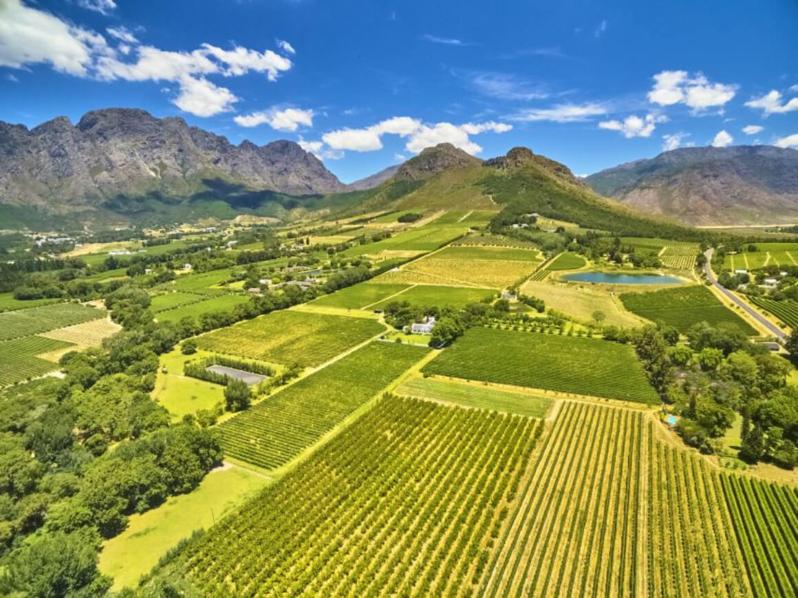 lush green vineyards and hills on a Stellenbosch Wine Tour in South Africa