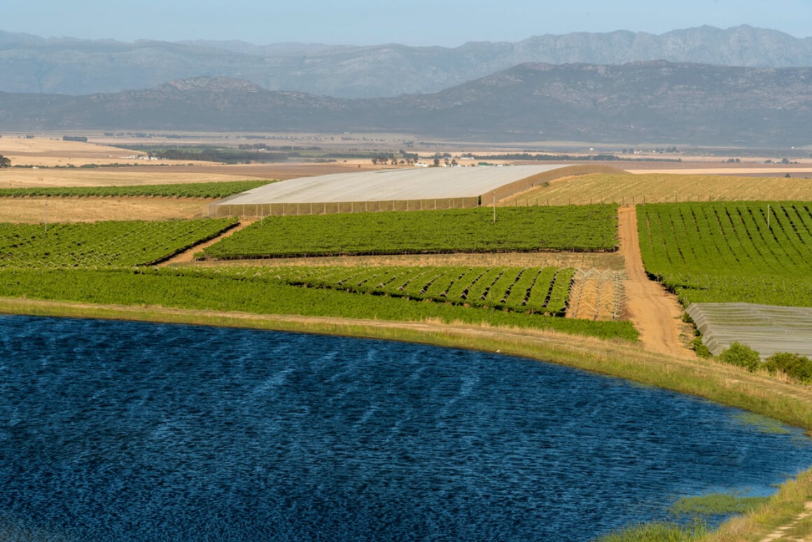 birds eye view of a winery in south africa called Swartland