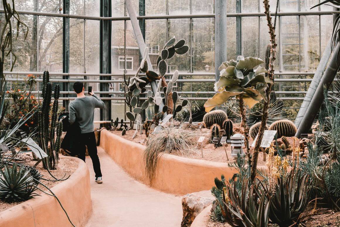 Man taking pictures of plants in Hortus Botanicus, Amsterdam 