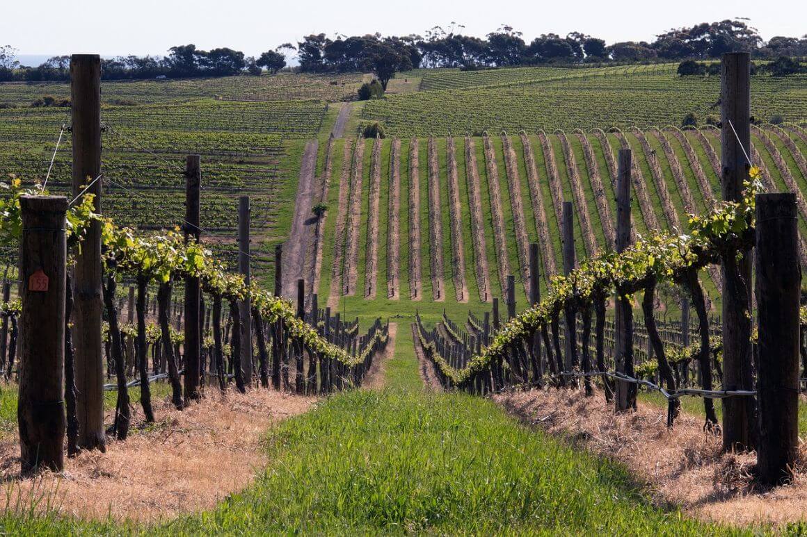 australia McLaren Vale