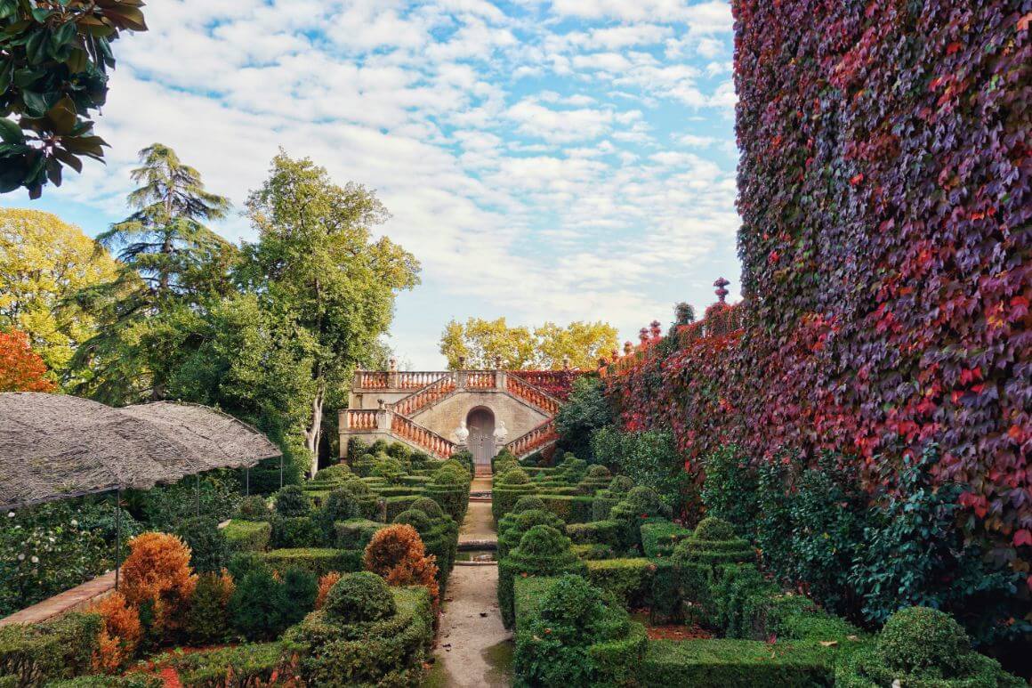 A garden with lush greenery and climbing purple plants in hoarta maze, barcelona