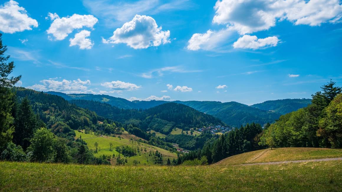 A landscape view of The Black Forest National Park on a sunny day