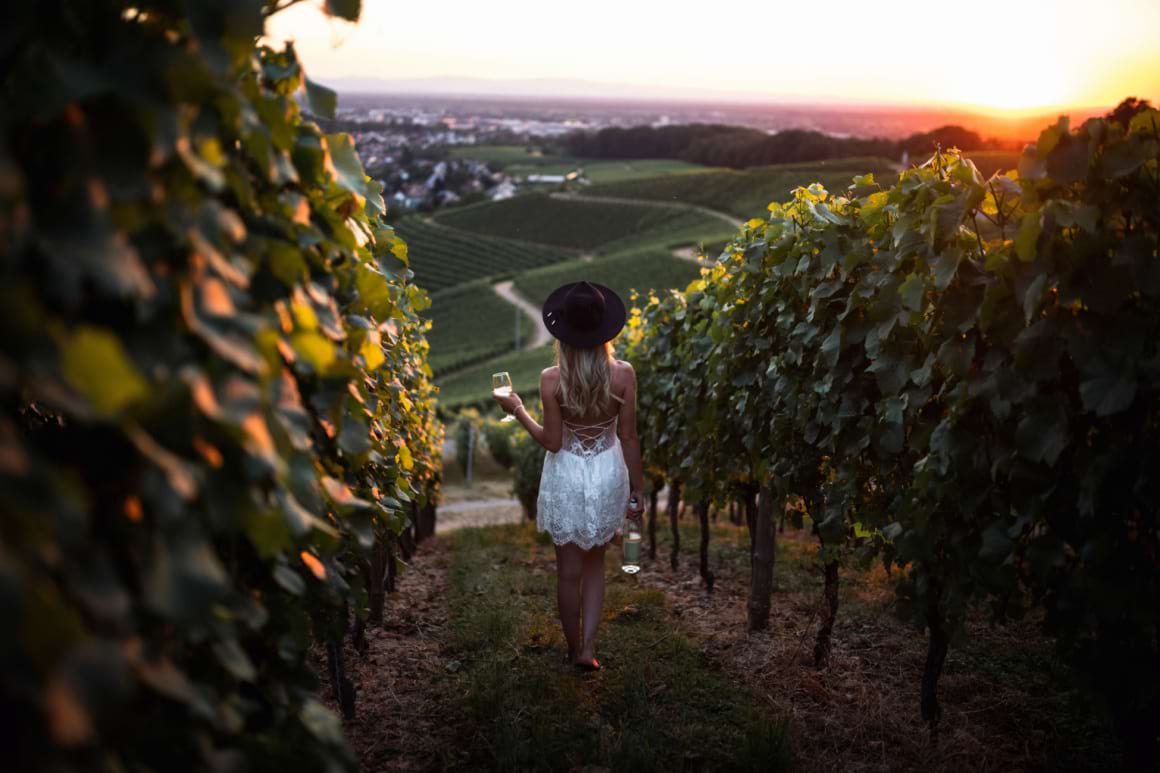 a girl in a white dress Drinking wine while walking through a vineyard in Germany