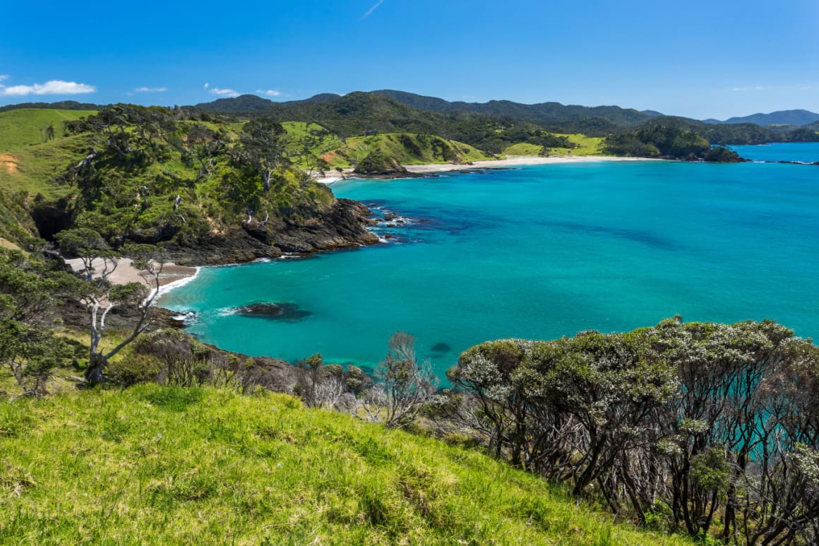 Pacific Sea Coast Bay Of Islands New Zealand