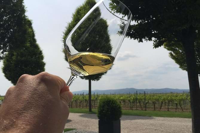 a man holding up a glass of white wine while standing at a green winery on a Pfalz Wine Tour