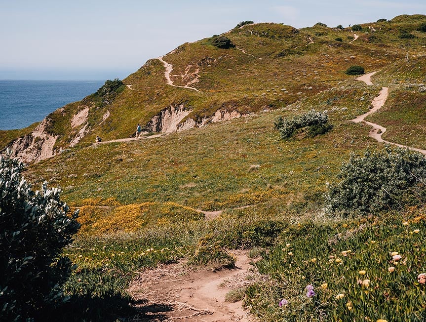 A coastal walkway in Portugal