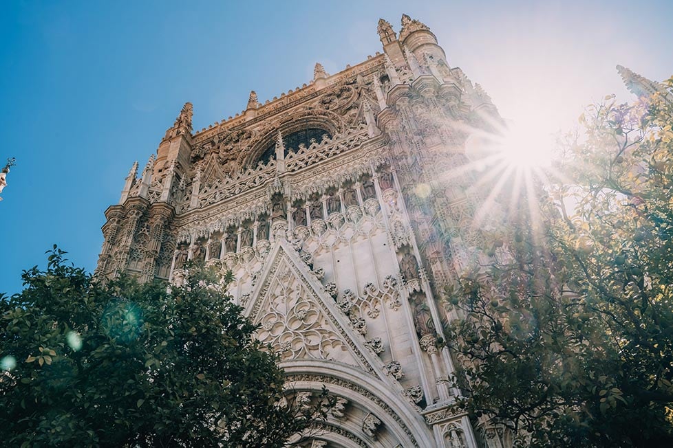 Seville cathedral surrounded by trees with the sun behind it.