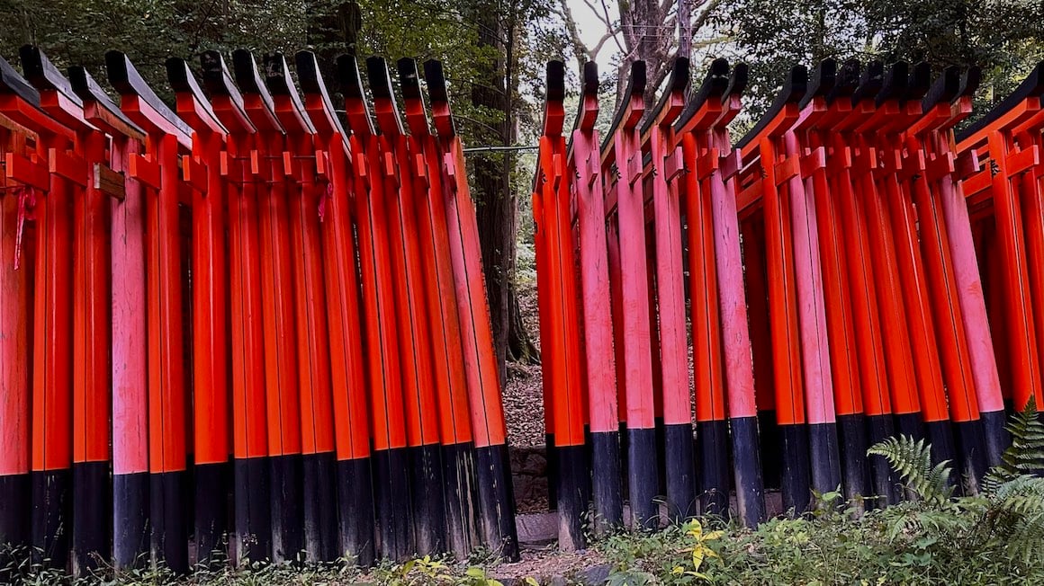 Torii gates lined up at famous shrine in Kyoto, Japan.