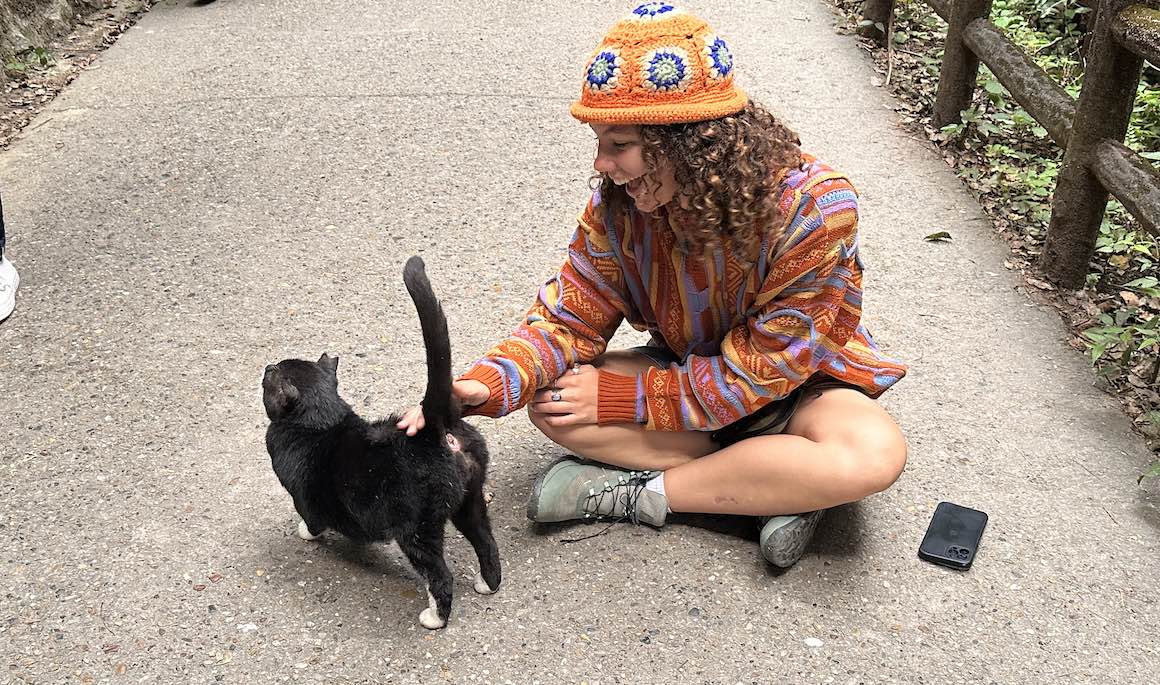 Girl pets cat while at a famous shrine in kyoto, Japan.