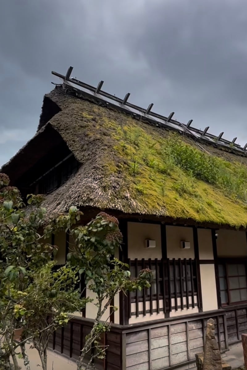 A thatched roof house in the village of Iyashi No Sato, Japan.