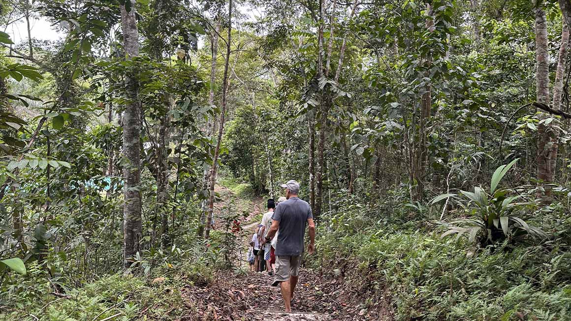 people walking in a line through the jungle on a path