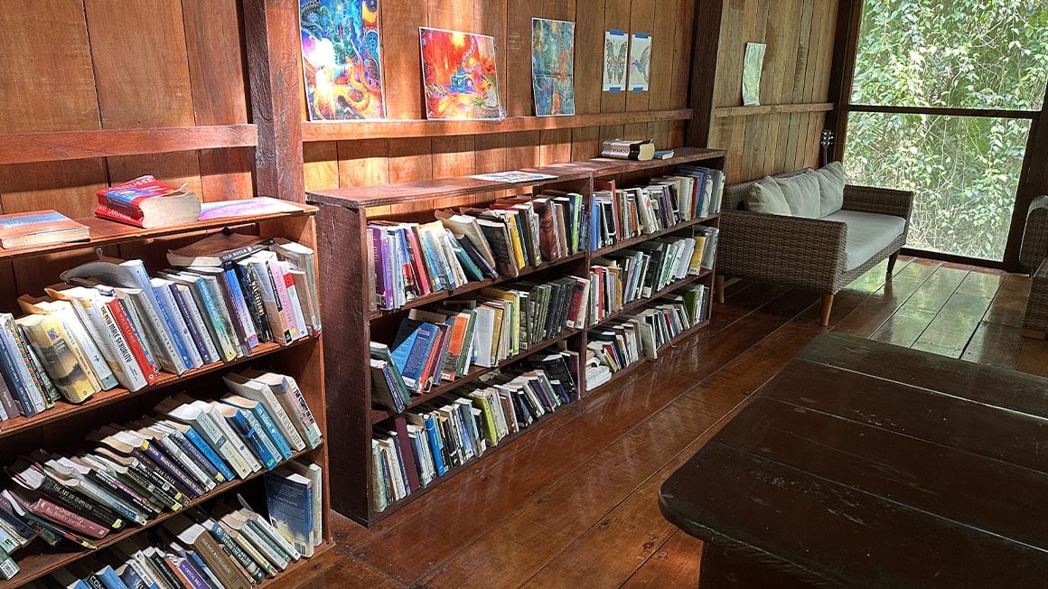 Library shelf with meditation and self-awareness books. Paintings and sofas.
