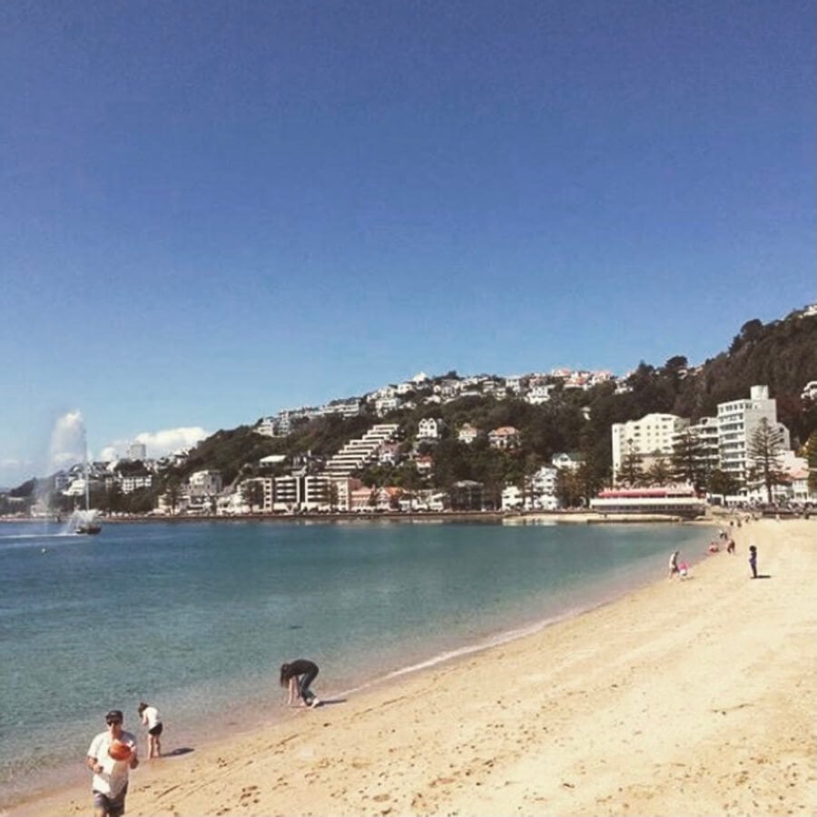 Oriental Bay in summer. Blue sky.