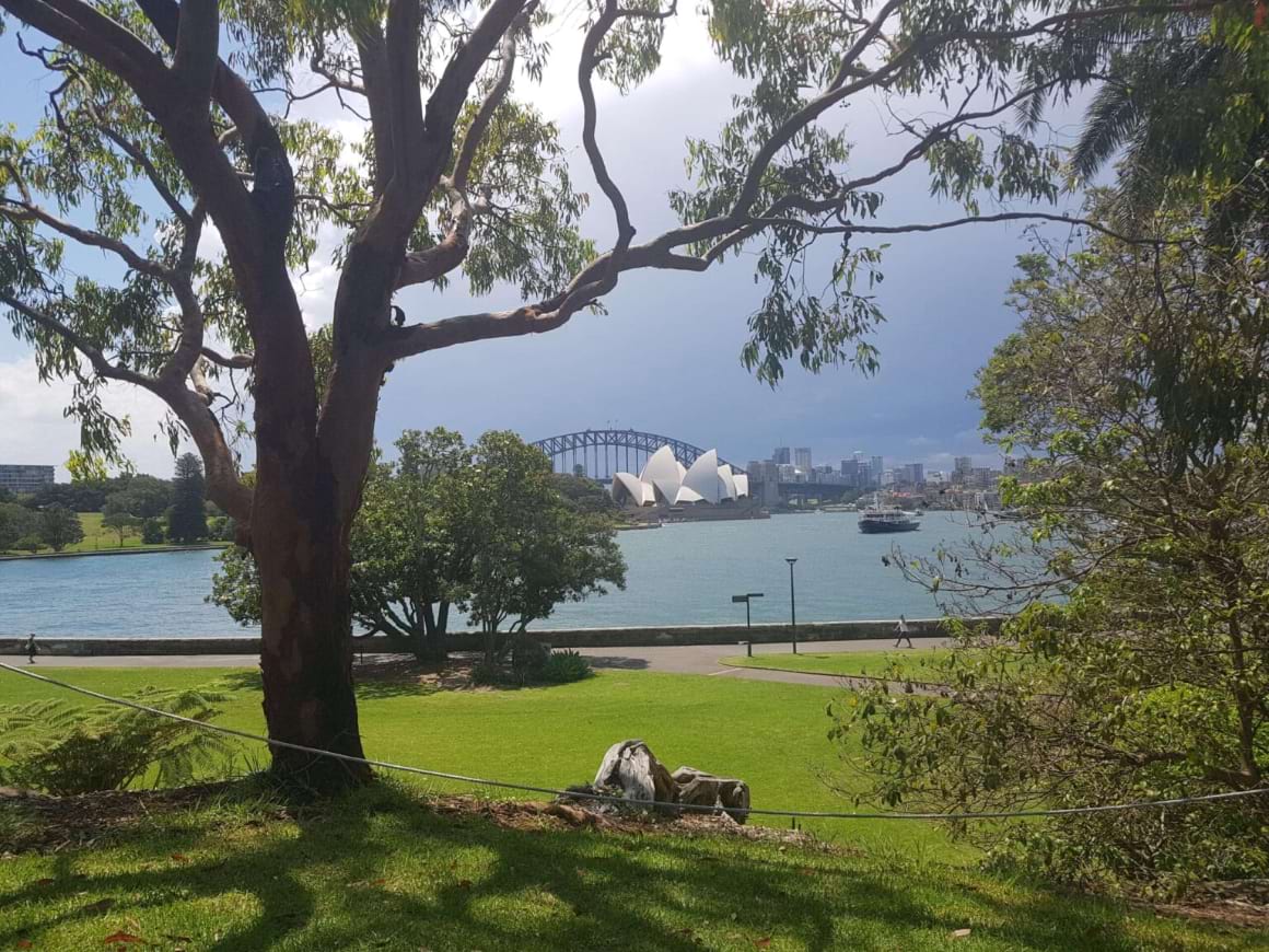 sydney harbour botanical gardens