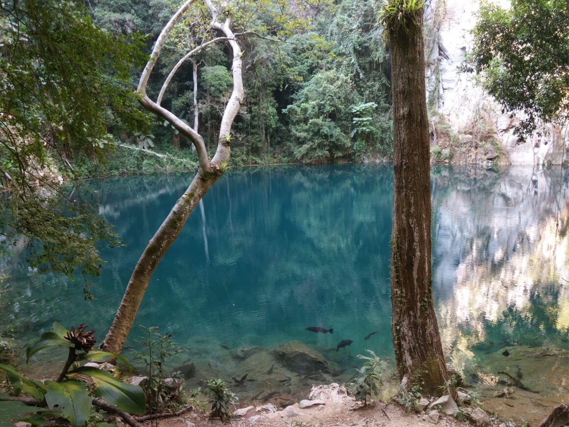 Emerald Lake Lampang surrounded by trees