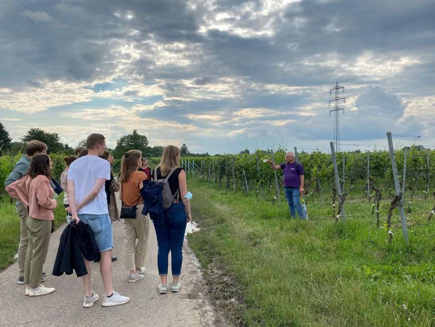 people standing and listening to a guide speak on a Wurttemberg Wine Tour