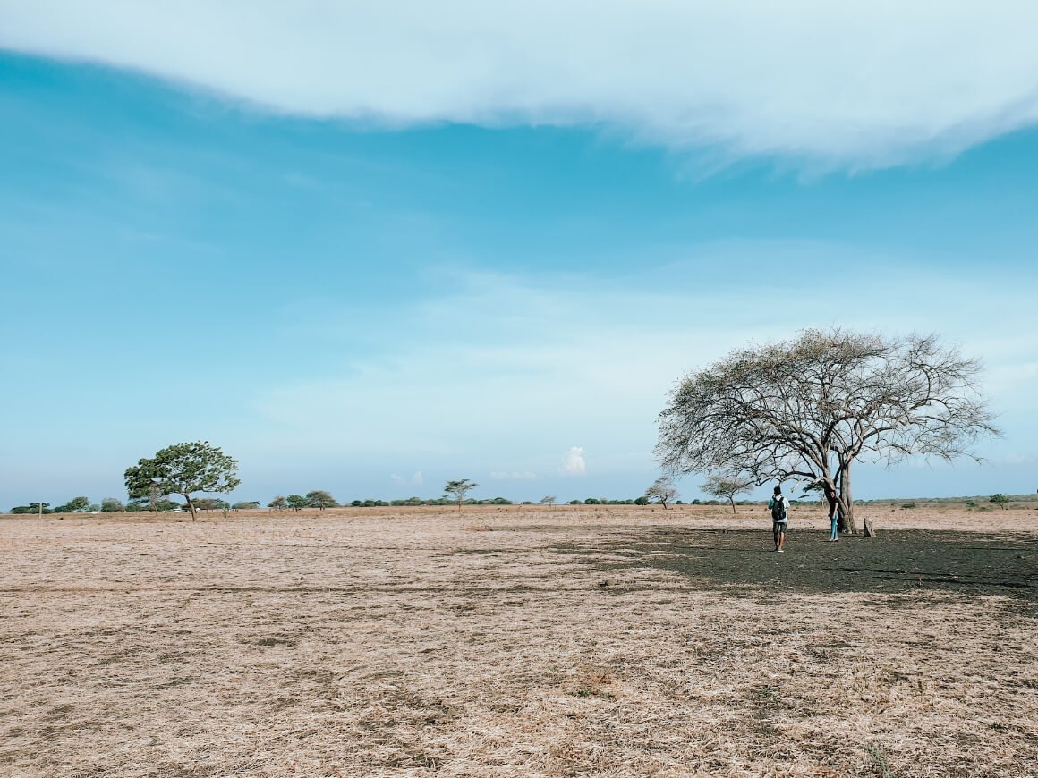 2 people under a tree in a wide dry field in National Park, East Java