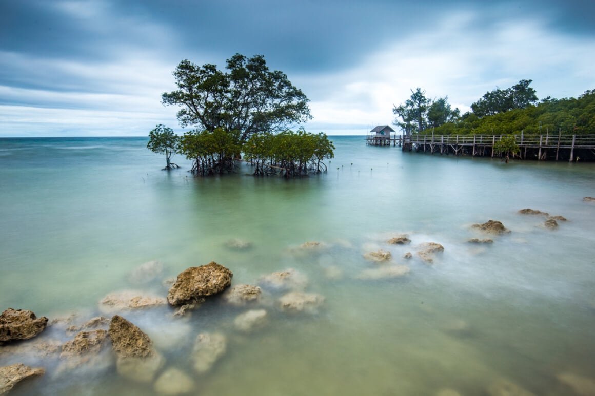 An island with mangrove trees and rocks covered by water in Larena Town Siquijor