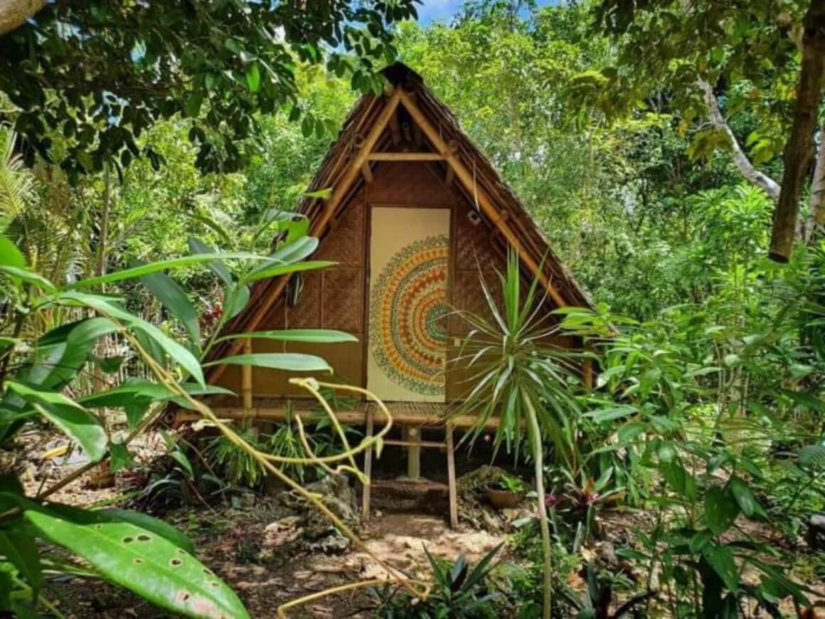 Lazy Lizard Hostel nestled in the heart of a forest