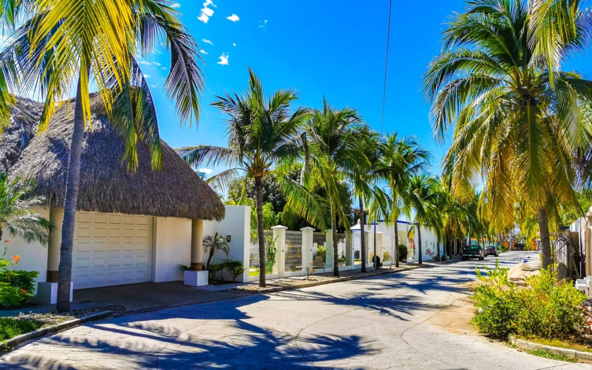 a street lined with palm trees and white houses in Rinconada Puerto Escondido