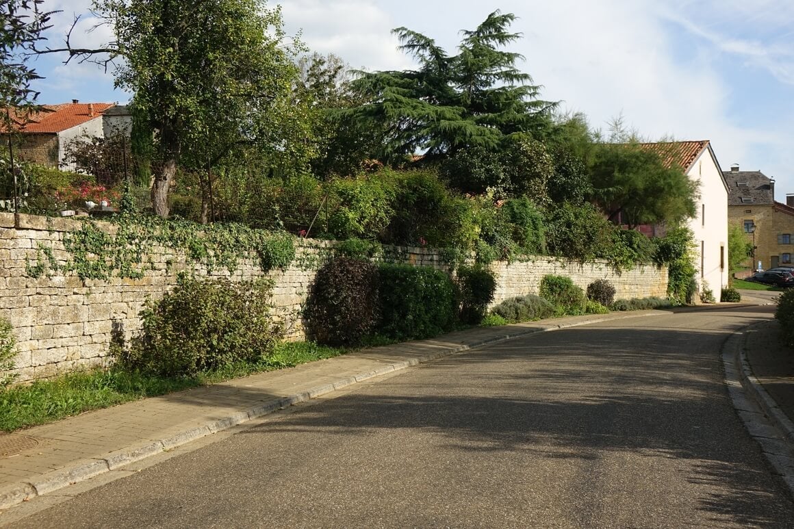 Street scene with bushes, trees and an overgrown stonewall in Torgny, Belgium