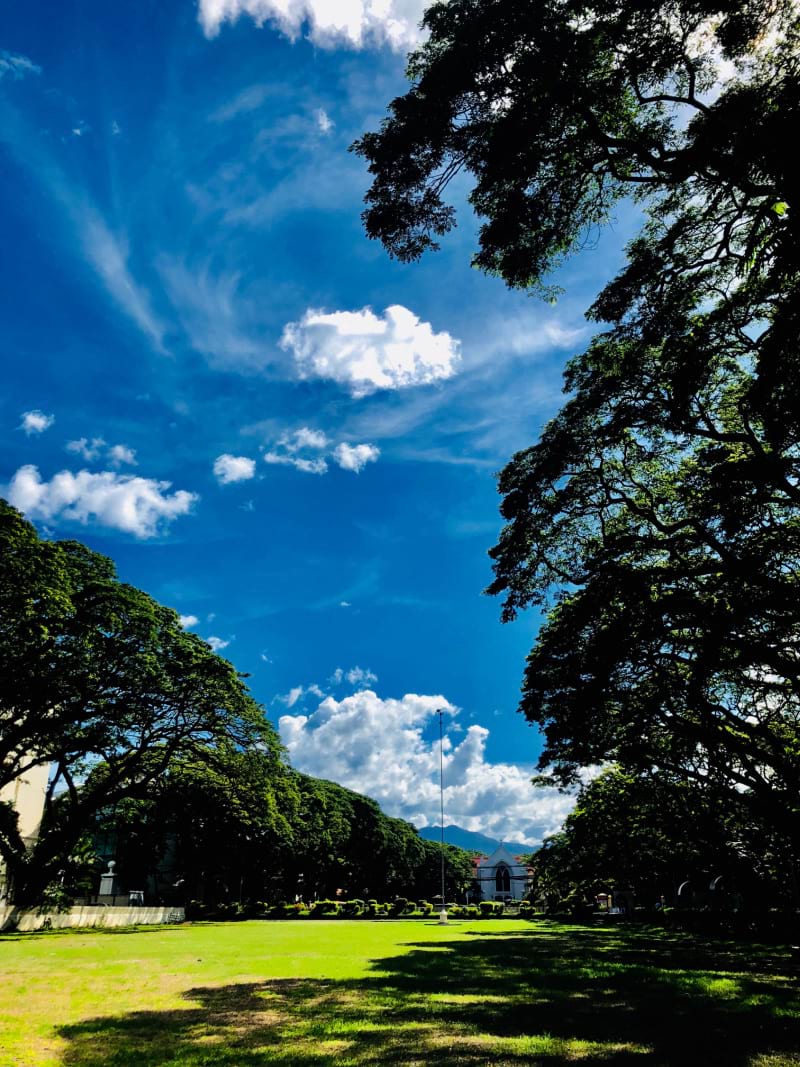 Silliman University Park in Dumaguete with lush trees and their shadows under captivating skies  