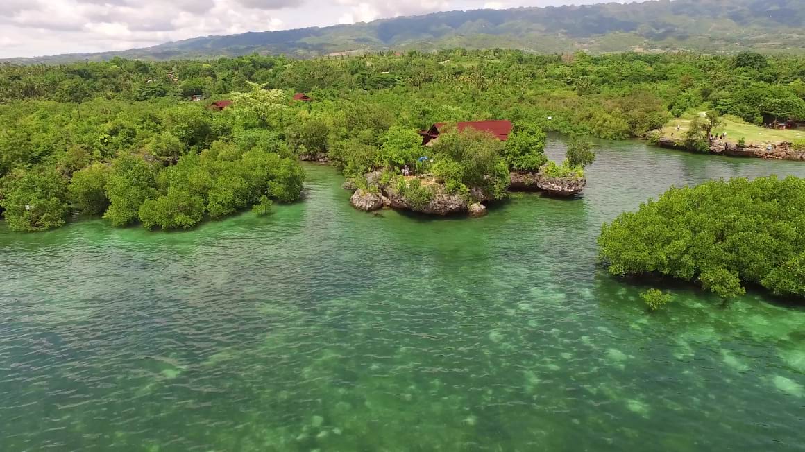 eskapo verde lodge moalboal