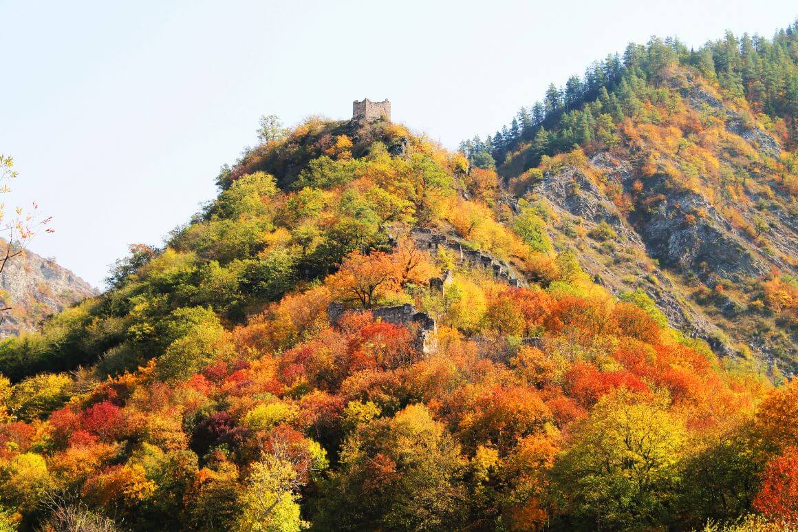 fall foliage seen in Kartli where you'll find some of the best wineries