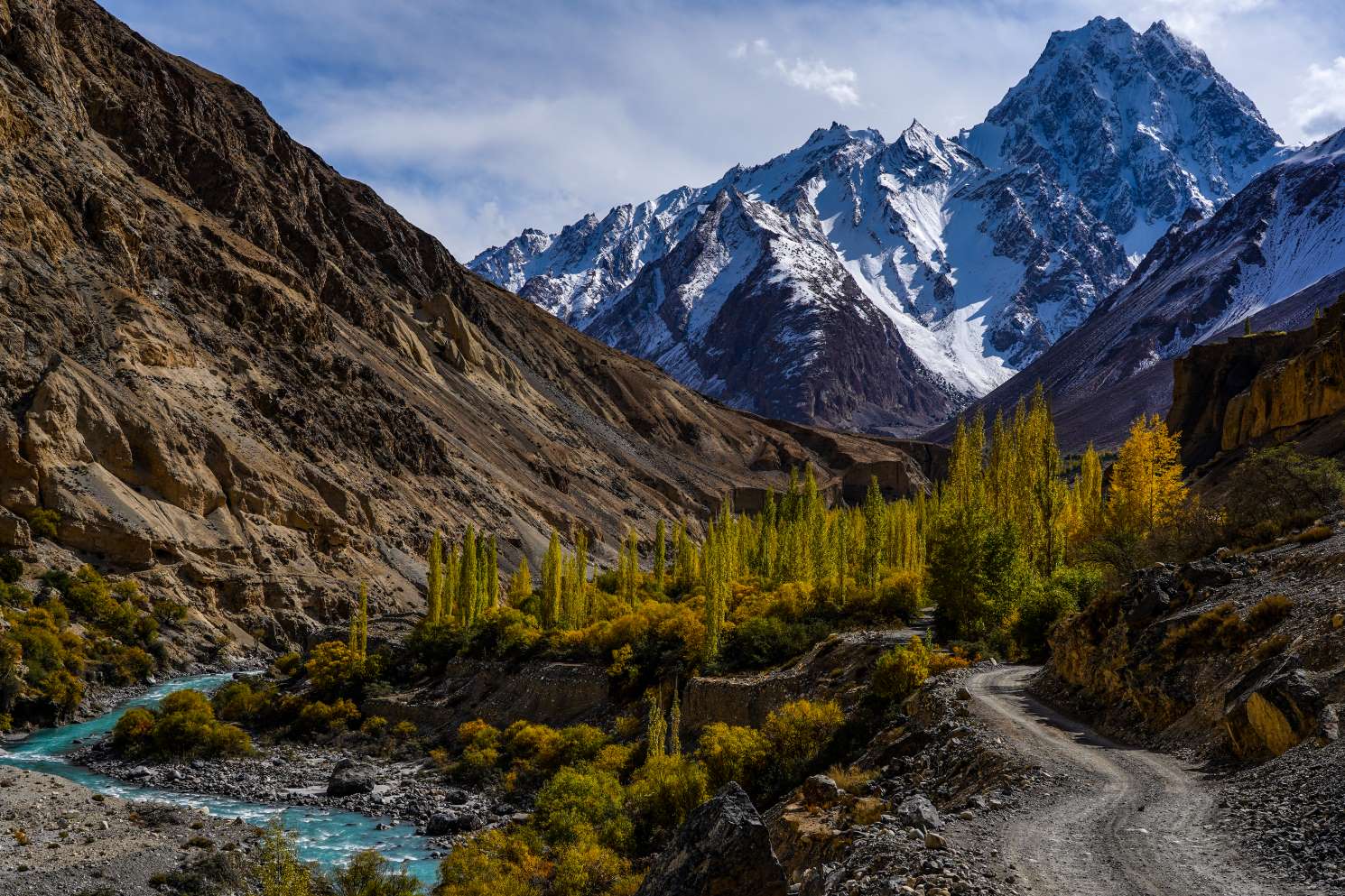 a collection of yellow poplar trees in front of a jagged snowcapped mountain and bright blue river in chapursan hunza valley pakistan