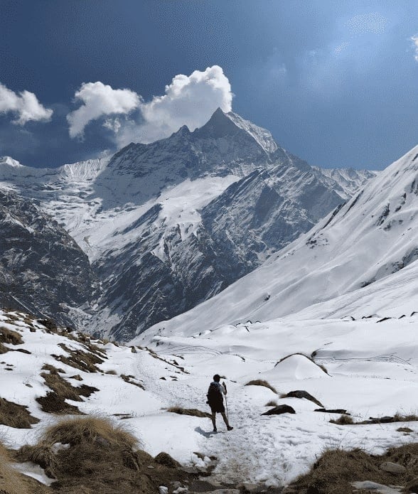 man with a backpack and trekking pole staring up at a massive snow covered peak while trekking in the annapurna region of nepal