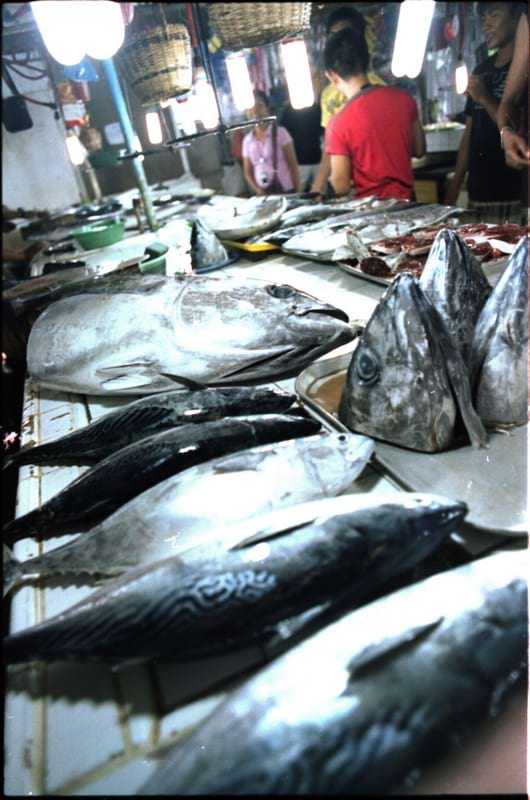 Fish shop in San Jose Public Market Puerto Princesa