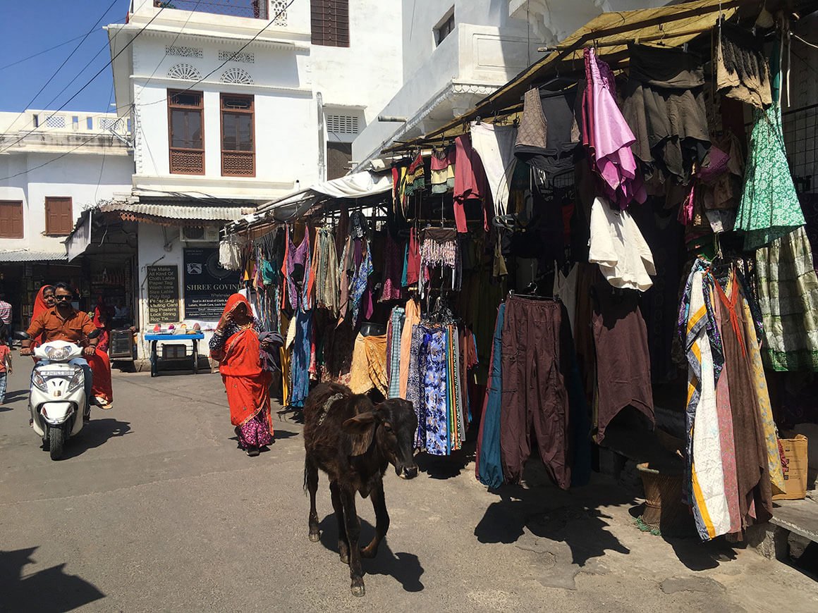 a cow walks past a shop in the market in Pushkar, India