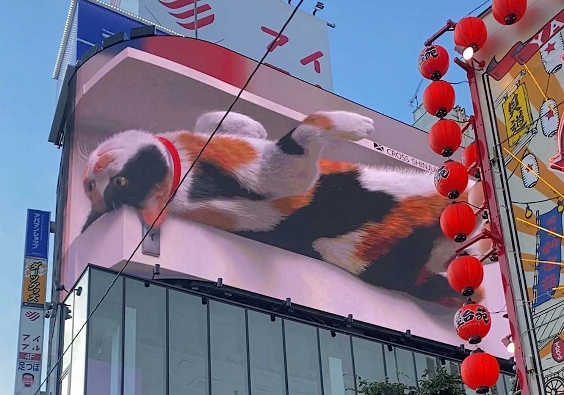 Giant cat on screen in Shinjuku Tokyo, Japan.