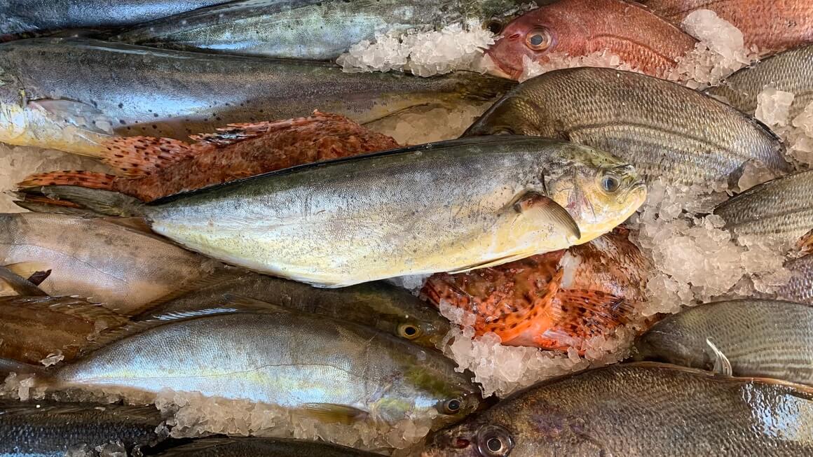 Seafood in Malta, mahi mahi, snapper, street food