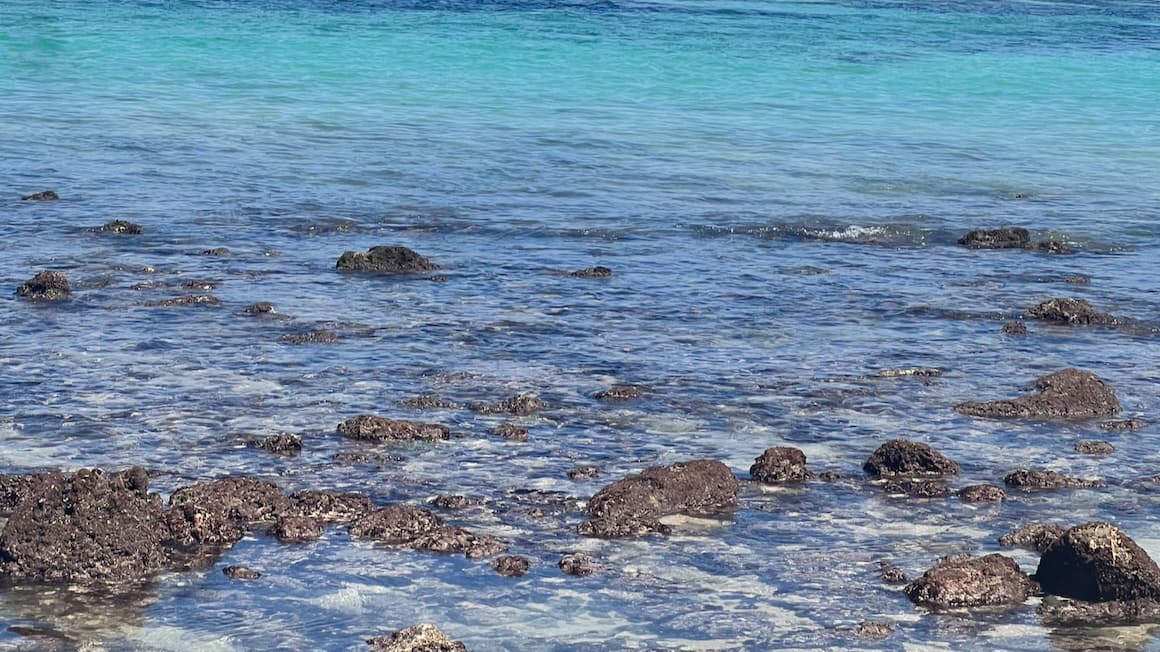 crystal clear water with rocks