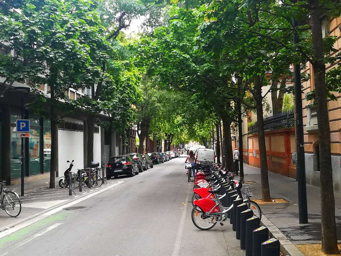 a row of bicycles parked on the side of a street with trees on both sides in Chalets District