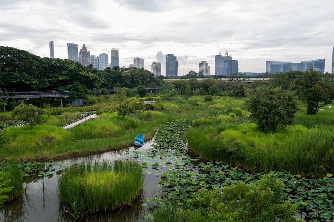 green swamp in Benchakitti Forest Park with a modern cityscape in the background