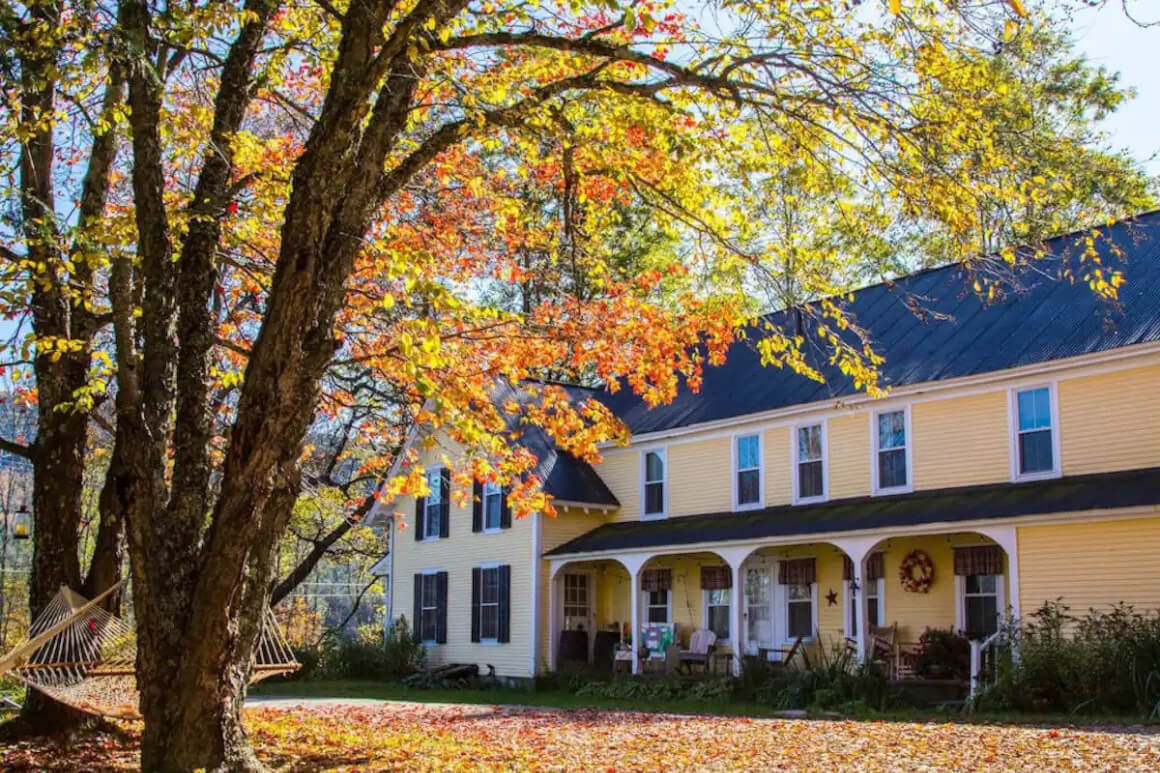 View out the front of Charming Vermont Farmhouse in Autumn with a large tree out the front and lots of leaves