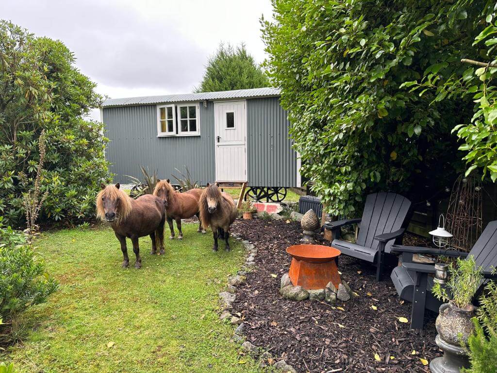 Miners Hut