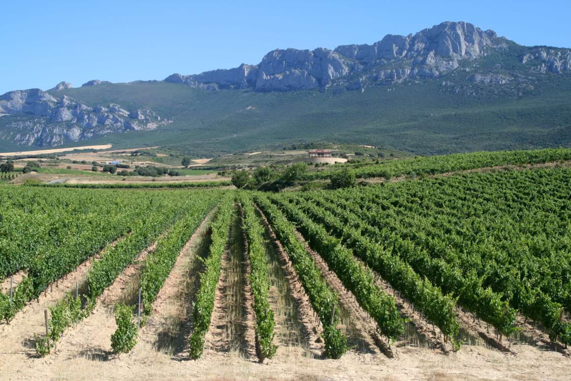jagged mountains overlooking hte wine vineyards of Rioja Spain