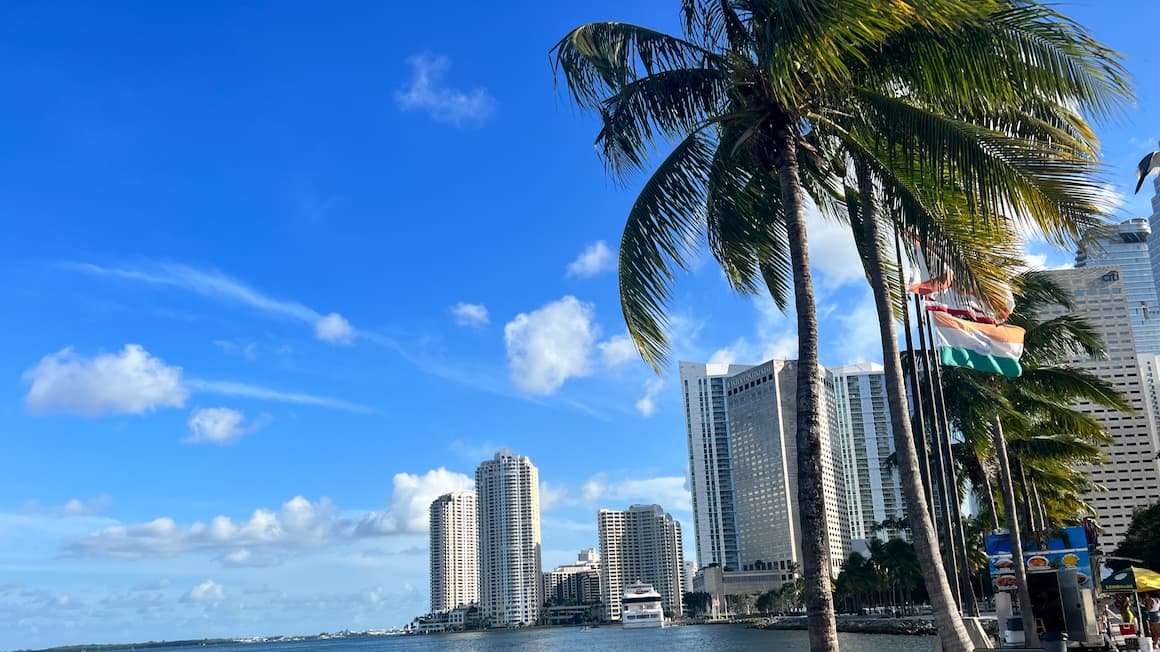 palm trees next to the ocean and surrounded by the tall skyscrapers of Miami, Florida  