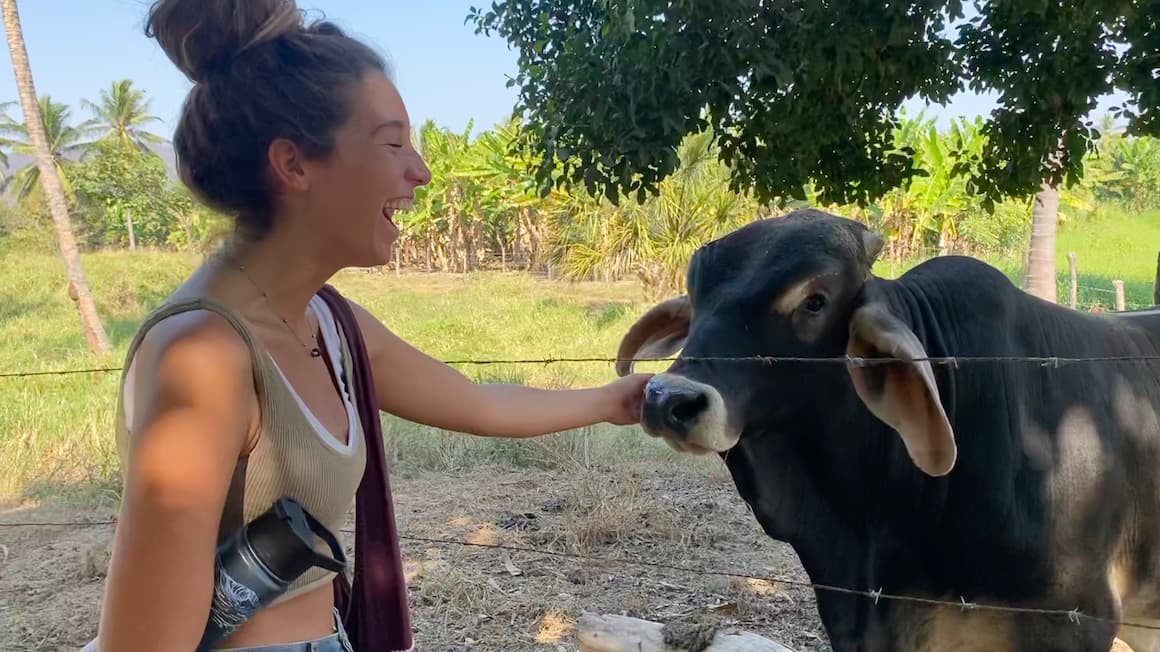 a girl petting a friendly cow in mexico 