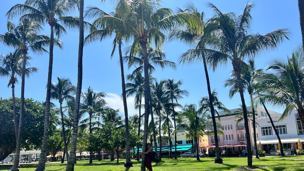 a girl surrounded by tall palm trees and she is hugging one them