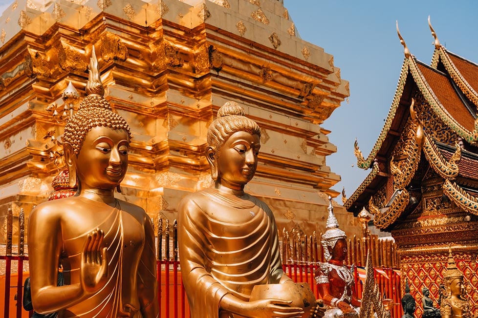 Golden buddhas with an ornate golden temple in the background in Chiang Mai, Thailand
