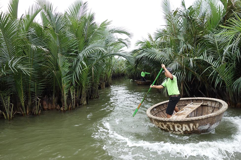 A person in a conical boat in mangroves in the Mekong Delta in Vietnam