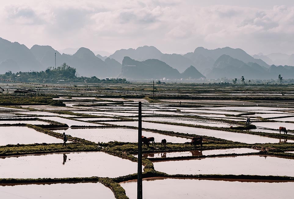 backpack trip vietnam