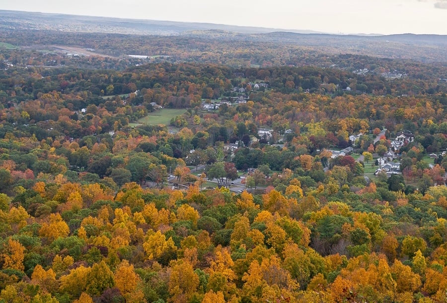 an assortment of orange and red trees as seen from above on an autumn hike in connecticut new england usa